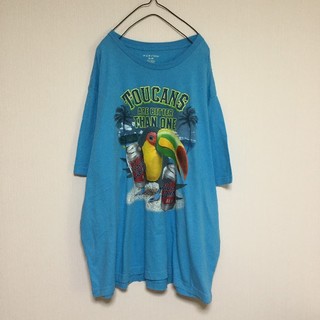 PURITAN ビンテージ Tシャツ パキメン オオハシ 鳥 酒 スカイブルー(Tシャツ/カットソー(半袖/袖なし))