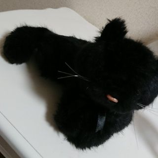 katie catbag