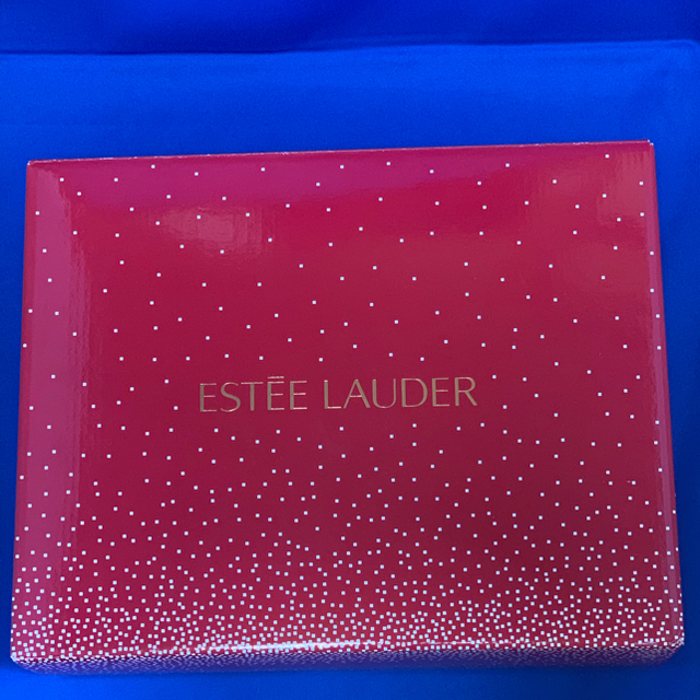 Estee Lauder(エスティローダー)の2013エスティローダーXmasコフレのバニティケース レディースのファッション小物(ポーチ)の商品写真