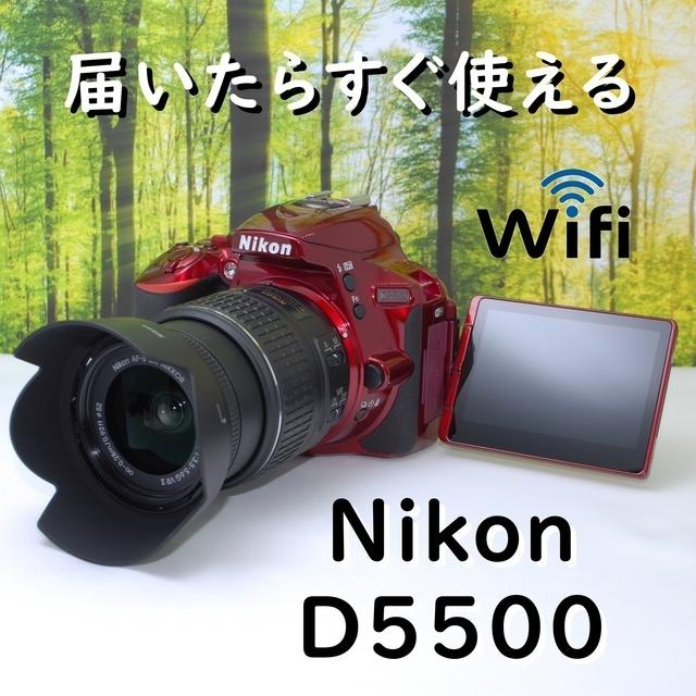 【付属品フルセット】タッチパネルで簡単操作☆ニコンD5500