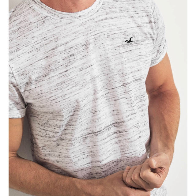 Hollister(ホリスター)のホリスター Tシャツ グレー メンズのトップス(Tシャツ/カットソー(半袖/袖なし))の商品写真