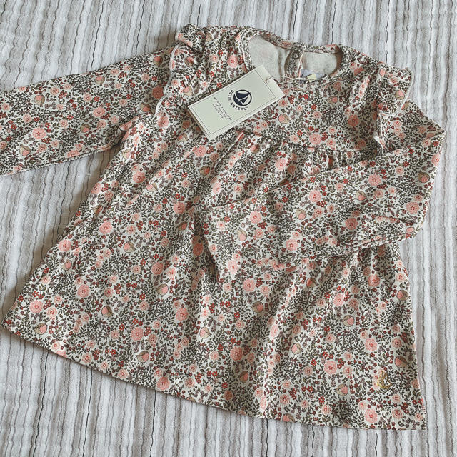 PETIT BATEAU(プチバトー)の【とことこ様 ご専用】2点おまとめ キッズ/ベビー/マタニティのキッズ服女の子用(90cm~)(Tシャツ/カットソー)の商品写真