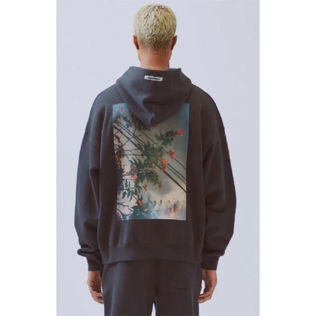 Essentials Photo Series Pullover Hoodie