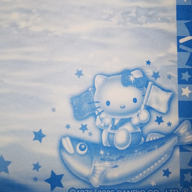 素敵でユニークな ご当地KITTYバラメモ単色52 秋田ハタハタ ノート+メモ帳+ふせん 素敵でユニークな ご当地KITTYバラメモ単色52 秋田ハタハタ ノート+メモ帳+ふせん