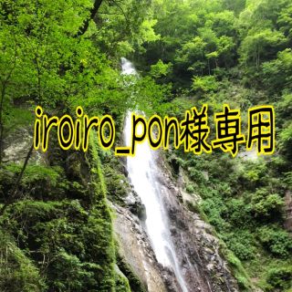 iroiro_pon 様専用(米/穀物)