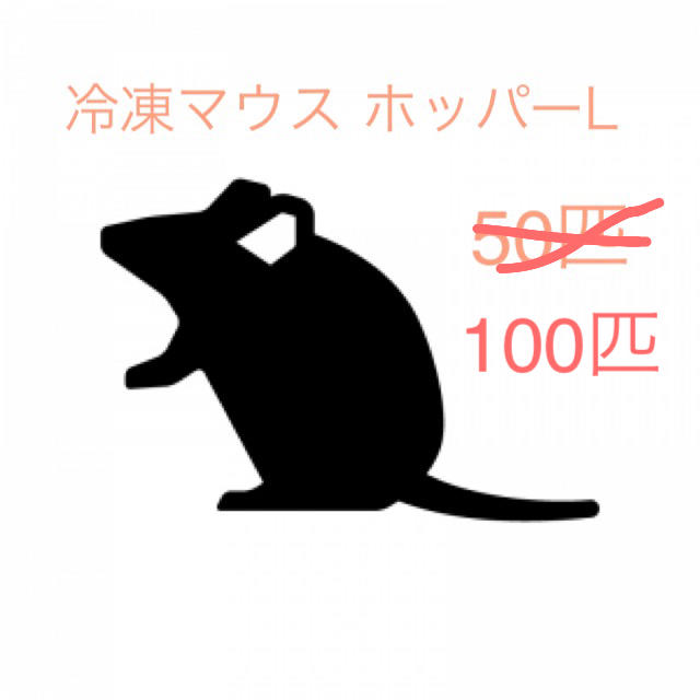 冷凍マウス ホッパーL  100匹