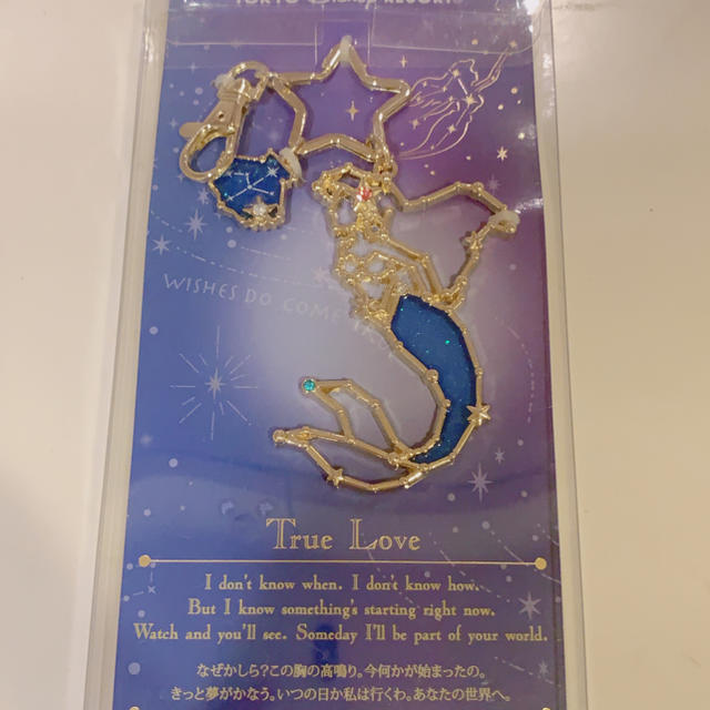 Disney(ディズニー)のアリエル 七夕 エンタメ/ホビーのおもちゃ/ぬいぐるみ(キャラクターグッズ)の商品写真