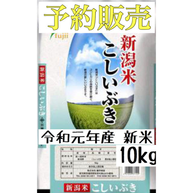 2 新潟県産 こしいぶき  10kg【令和元年 予約販売】