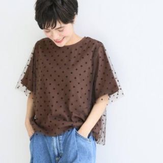 スピックアンドスパン(Spick & Span)の【美品】フロッキードットプルオーバー(カットソー(半袖/袖なし))