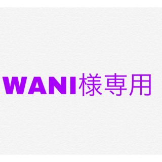 WANI様専用(Tシャツ/カットソー(半袖/袖なし))