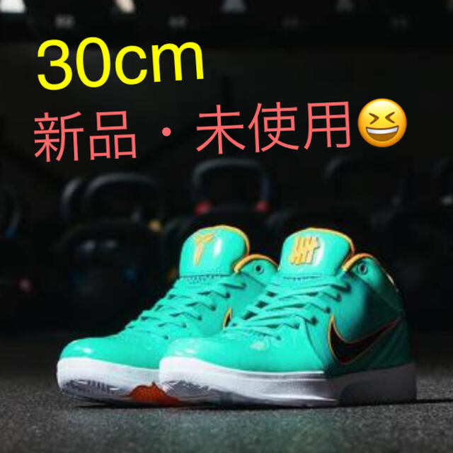 UNDEFEATED(アンディフィーテッド)のUNDEFEATED × NIKE 30cm HYPER JADE  メンズの靴/シューズ(スニーカー)の商品写真