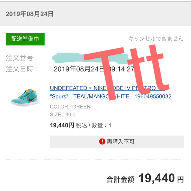 UNDEFEATED(アンディフィーテッド)のUNDEFEATED × NIKE 30cm HYPER JADE  メンズの靴/シューズ(スニーカー)の商品写真