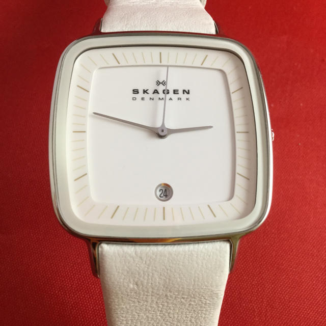 SKAGEN - スカーゲン  SKW2013スペシャルエディションの通販 by シャル's shop｜スカーゲンならラクマ