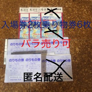 ［専用］ナガシマジャンボ海水プール入場券大人2枚のりもの券6枚おまけ(プール)