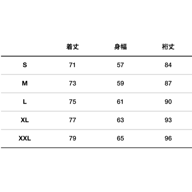 THE NORTH FACE(ザノースフェイス)の2019 マウンテンライトジャケット S メンズのジャケット/アウター(マウンテンパーカー)の商品写真