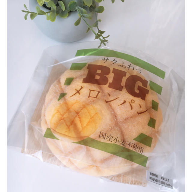 【好評にて期間延長】 新品‼️レインボーBIGメロンパン