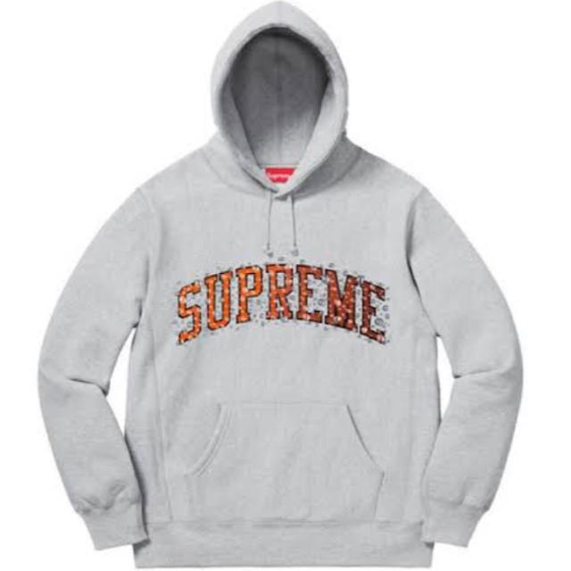 Supreme(シュプリーム)のSupreme アーチ Water Arc Hooded Sweatshirt メンズのトップス(パーカー)の商品写真