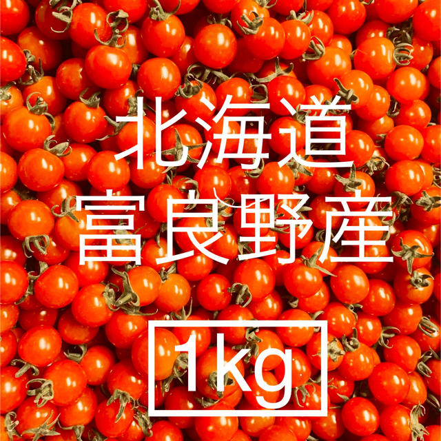 北海道 富良野産 ミニトマト １キロ 食品/飲料/酒の食品(野菜)の商品写真
