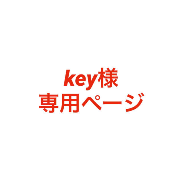 16500円 専用ページ◇ ◇key様 reduktor.com.tr