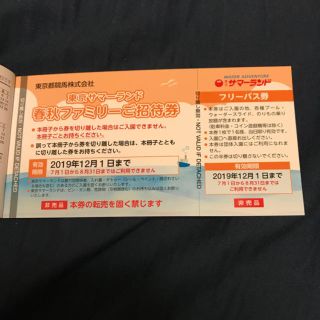 値下げ中！【返品不要】サマーランド 株主優待券(プール)