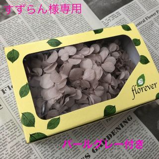 花材 フロールエバー アンデスアジサイ ヘーゼルナッツ 半箱(プリザーブドフラワー)