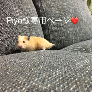 エスプリーク(ESPRIQUE)のPiyo様専用ページエスプリーク  セレクトアイカラー(アイシャドウ)