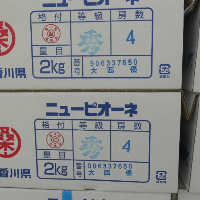 高知産香川産　ぶどう　ピオーネ　約２Ｋｇ　北海道沖縄は、発送いたしません。 食品/飲料/酒の食品(フルーツ)の商品写真