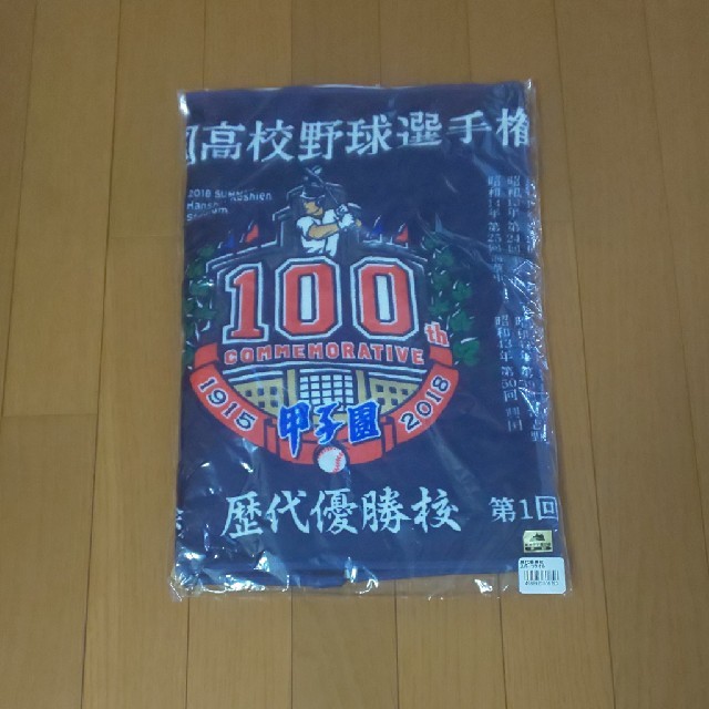 甲子園100回記念タオル スポーツ/アウトドアの野球(記念品/関連グッズ)の商品写真