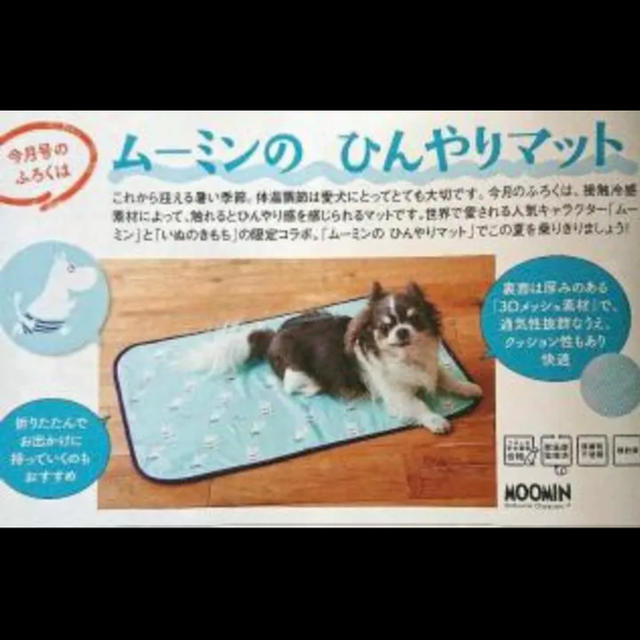 いぬのきもち 付録 ムーミンのひんやりマット 新品未使用品 その他のペット用品(犬)の商品写真