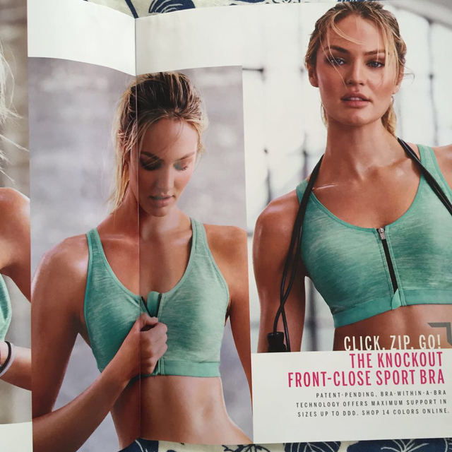 Victoria's Secret(ヴィクトリアズシークレット)のヴィクシー2冊カタログ レディースのレディース その他(その他)の商品写真