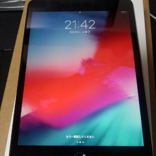 アイパッド(iPad)の[送無]ipad mini5 (2019)256GB wifi cellular(タブレット)