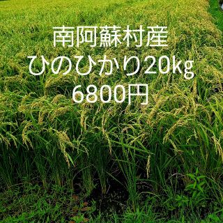 平成30年度 玄米ひのひかり20㎏(米/穀物)