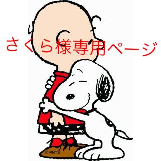 スヌーピー(SNOOPY)のリンネル10月号付録スヌーピーღ(その他)