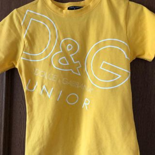 ディーアンドジー(D&G)のD &GTシャツ(その他)