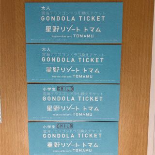 やまちゃん様専用 雲海テラスゴンドラ 引き換えチケット(その他)