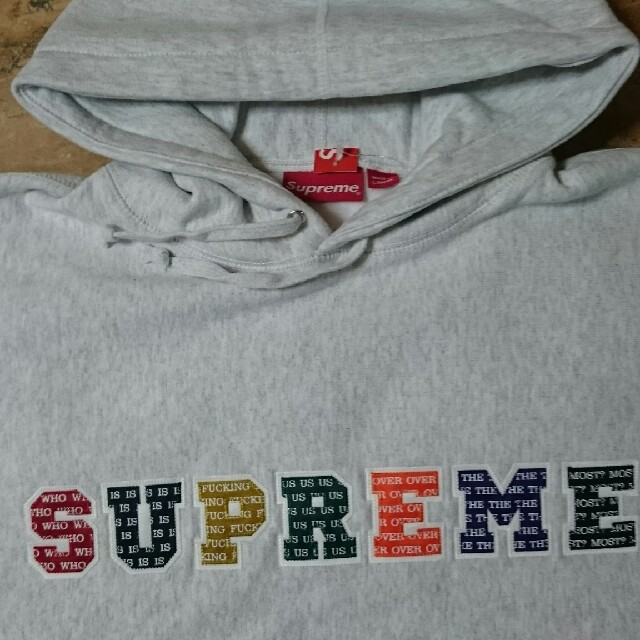 Supreme19FW week1 The Most Hooded グレーL送込 2