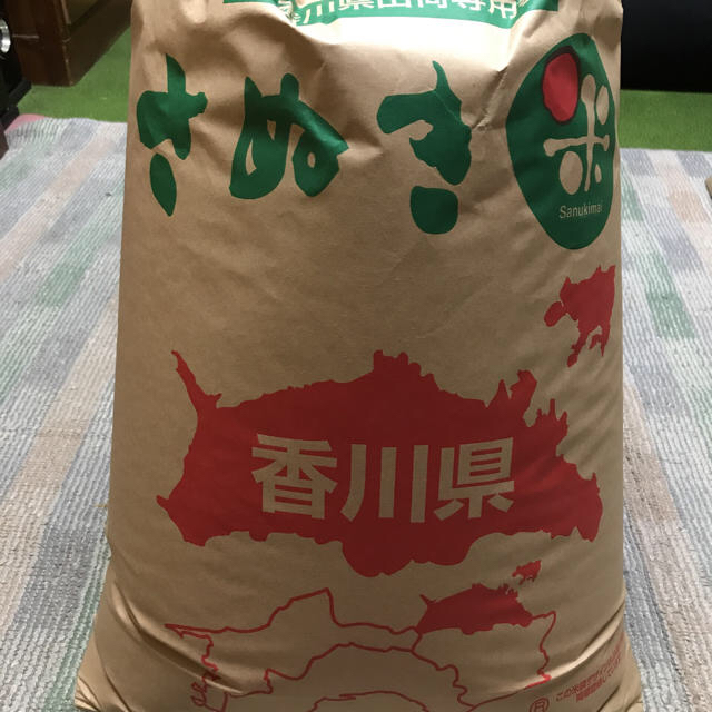 令和元年コシヒカリ25キロ食品/飲料/酒