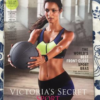 ヴィクトリアズシークレット(Victoria's Secret)のヴィクシー2冊カタログ(その他)