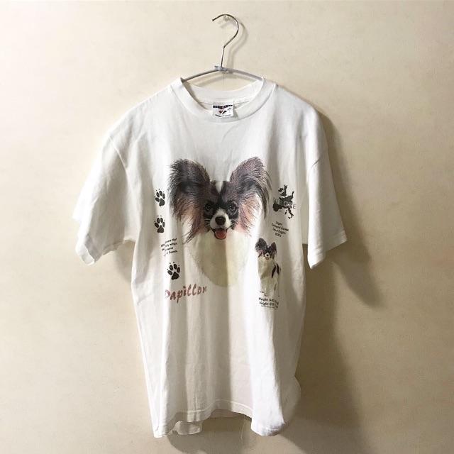 BEAUTY&YOUTH UNITED ARROWS(ビューティアンドユースユナイテッドアローズ)のPappilon Tee🐩🐾 レディースのトップス(Tシャツ(半袖/袖なし))の商品写真