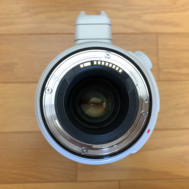 Canon - Canon EF100-400mm f/4.5-5.6L IS Ⅱ USMの通販 by ｔａｋａ1965's shop｜キヤノンならラクマ 人気最新品