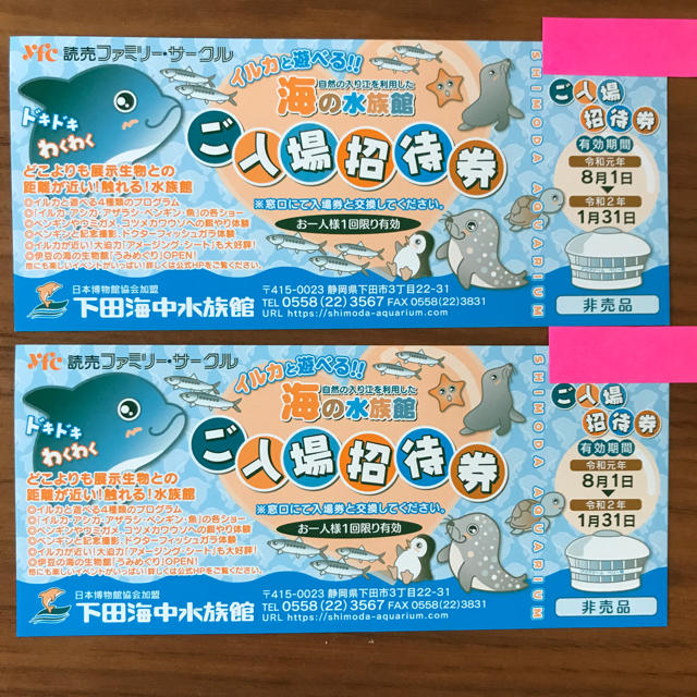 下田海中水族館  ご入場招待券  4枚