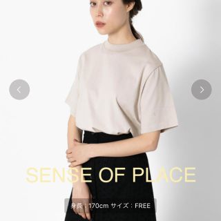 センスオブプレイスバイアーバンリサーチ(SENSE OF PLACE by URBAN RESEARCH)のコットンハイネックＴ(Tシャツ(半袖/袖なし))