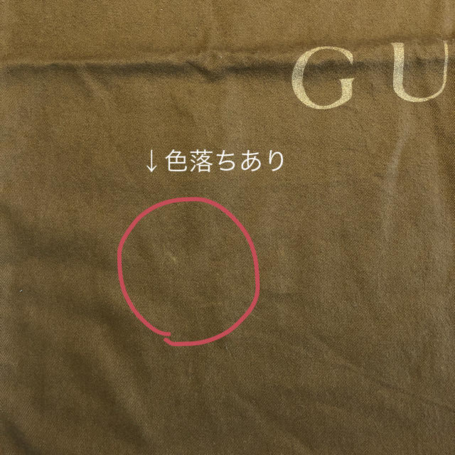 Gucci(グッチ)のGUCCIの布製の袋 レディースのバッグ(その他)の商品写真