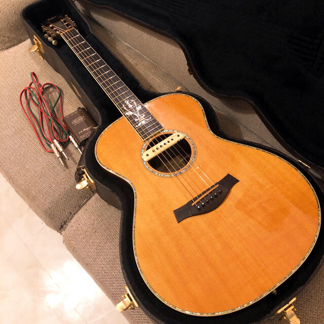 【入手困難】TAYLOR XXX-RS MOD 30th ダブルピックアップ