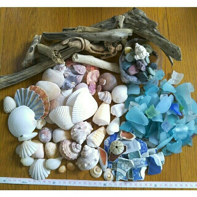 流木 貝殻 貝 シーグラス シー陶器 小石 巻き貝の通販 by mawwy's shop｜ラクマ