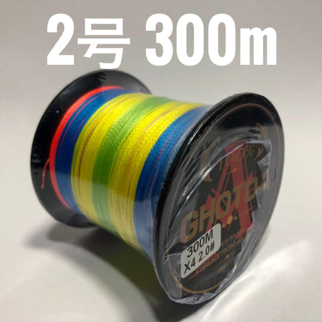 PEライン 2号 300m マルチカラー スポーツ/アウトドアのフィッシング(釣り糸/ライン)の商品写真