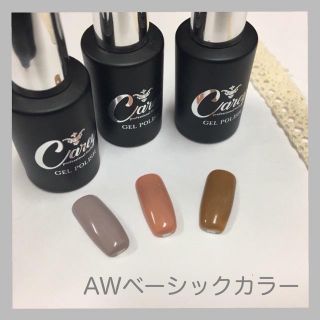 【カラー変更可】AWベーシックカラージェル ジェルネイル(マニキュア)