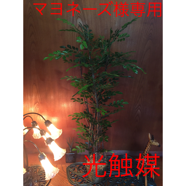 光触媒 人工観葉植物 トネリコクリスマス