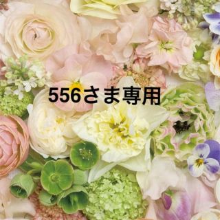 556さま専用ページ♡