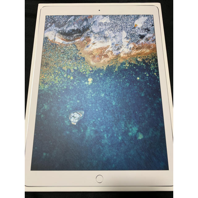 はるさま専用 iPad Pro 12.9インチシルバー256GBスマホ/家電/カメラ